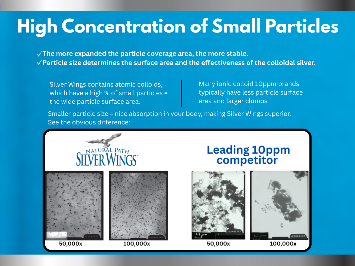 Natural Path Silver Wings Colloidal Silver 500ppm Immune Support Supplement 4 fl. oz. Dropper