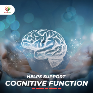 Niacin Nicotinic Acid - Moderate Dose, Low Flush Formula, 90 Capsules for Cardiovascular and Energy Support