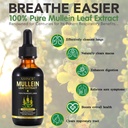 mullein-drops-for-lungs-mullein-leaf-ext-2.jpg