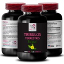 pure-strength-boost-tribulus-terrestris--2.jpg