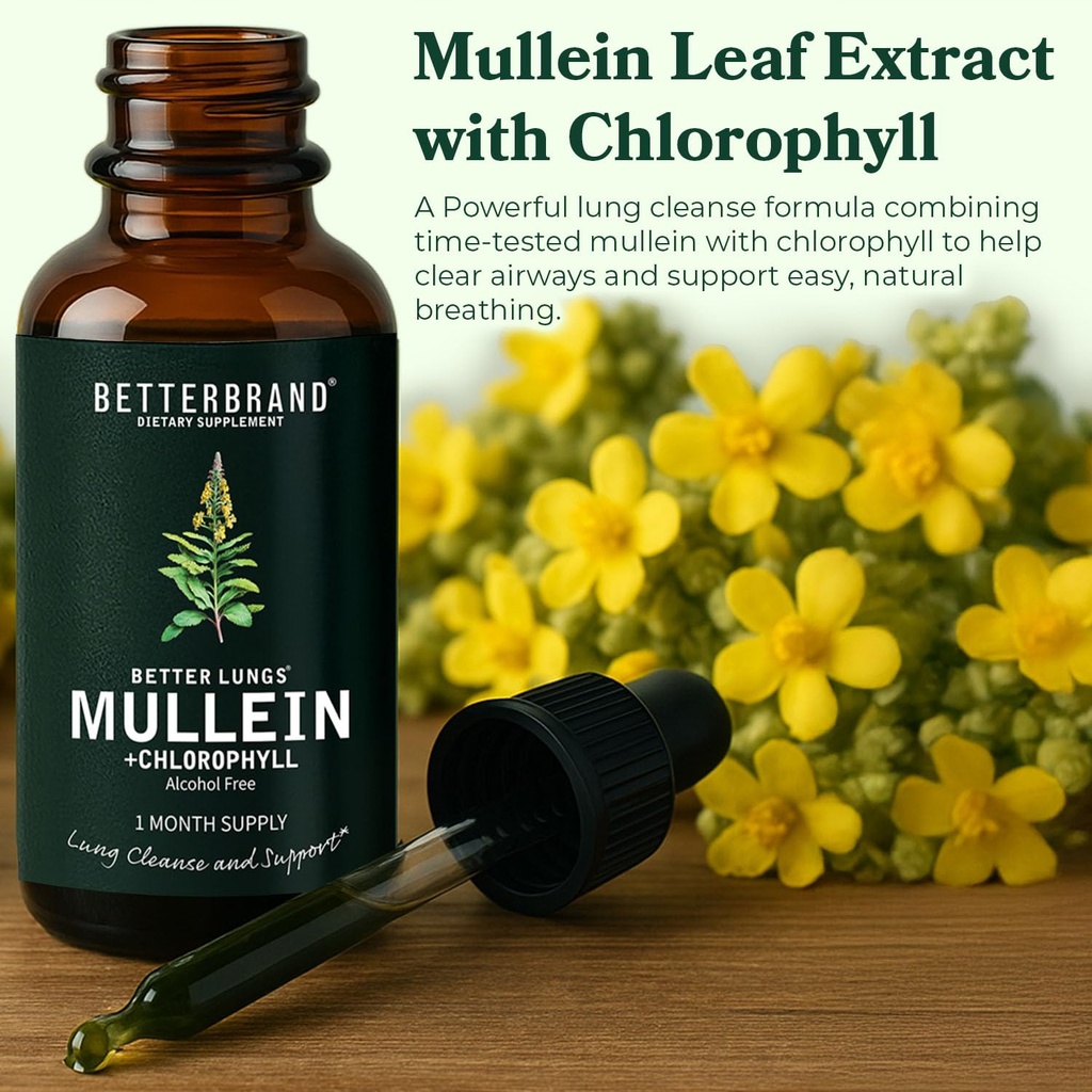 betterlungs-mullein-leaf-extract-and-eld-2.jpg