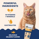 under-the-weather-pet-electrolytes-ready-3.jpg