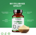 dr-herbalist-psyllium-husk-extract-1000m-2.jpg