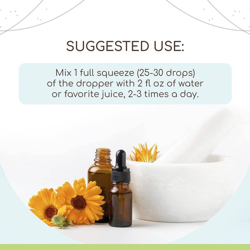 herbera-andrographis-alcohol-free-herbal-2.jpg