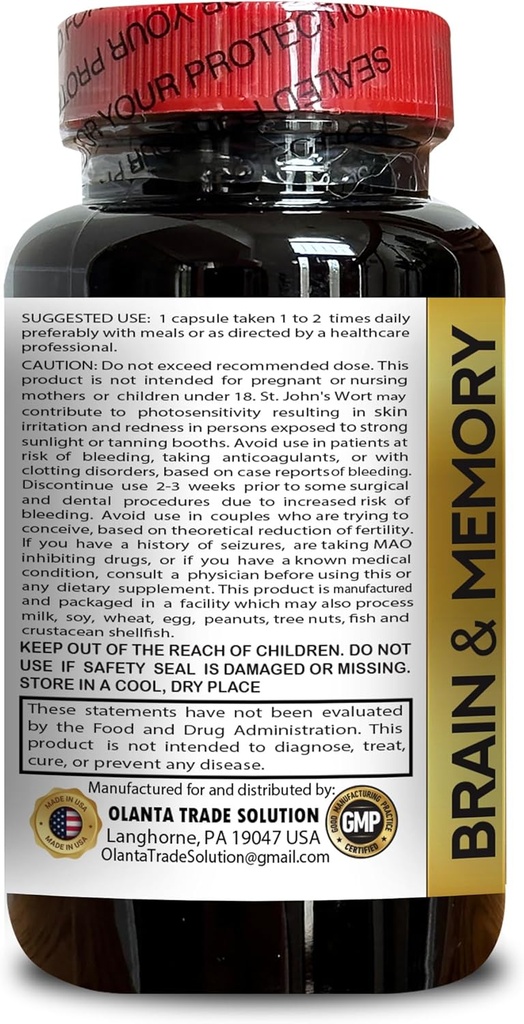 brain-memory-support---mental-focus-memo-4.jpg
