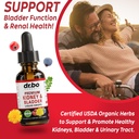 kidney-bladder-lymphatic-drainage-supple-4.jpg