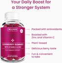 wellpath-boost-elderberry-gummies-with-z-3.jpg