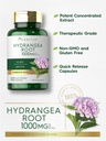 carlyle-hydrangea-root-capsules-1000mg-1-3.jpg
