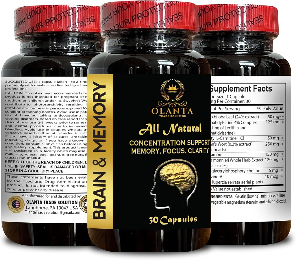 brain-memory-support---memory-function-s-6.jpg