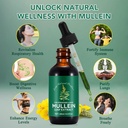generic-mullein-leaf-extract---lung-aid--2.jpg