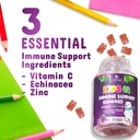 kids-immune-support-gummies---vitamin-c--3.jpg
