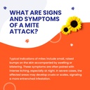 fast-acting-bug-bite-relief-pack-by-mite-3.jpg