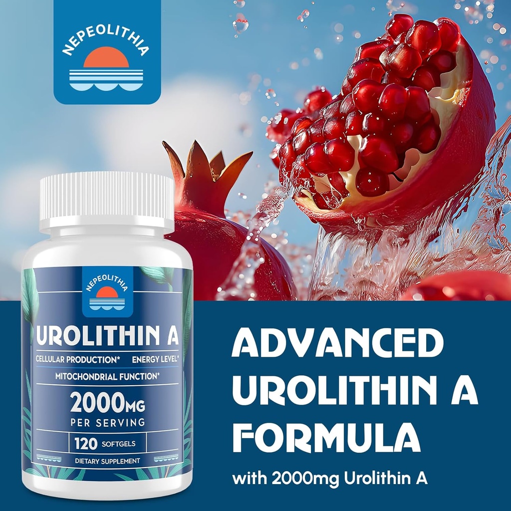 urolithin-a-2000mg-gluten-free-120-softg-4.jpg