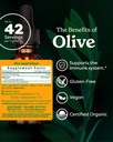 herb-pharm-certified-organic-olive-leaf--2.jpg