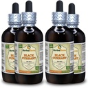 Black Currant (Ribes nigrum) Tincture, Dried Leaves Liquid Extract (Brand Name: HerbalTerra, Proudly Made in USA) 4x4 fl.oz (4x120 ml)
