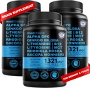 12-in-1 Nootropic Brain Supplement Anhydrous: Ginkgo Biloba for Brain Support, Memory and Focus - B12, Alpha GPC, L Theanine and Choline Supplements with Bioperine Non Caffeinated 1321mg (180ct)