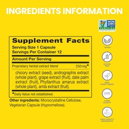 Himalaya PartySmart, 12 Capsule Tube - Alcohol Breakdown Liver Support for a Better Morning After Drinking - Plant Based, Vegan, Non-GMO, Gluten Free, Clinically Studied (Pack of 2)