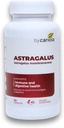 Astragalus Root Capsules - Immune & Digestive Support Supplement - Natural Formula, Boosts Energy, Improves Digestion - Astragalus Membranaceus Extract - 60 Count (30 Servings)